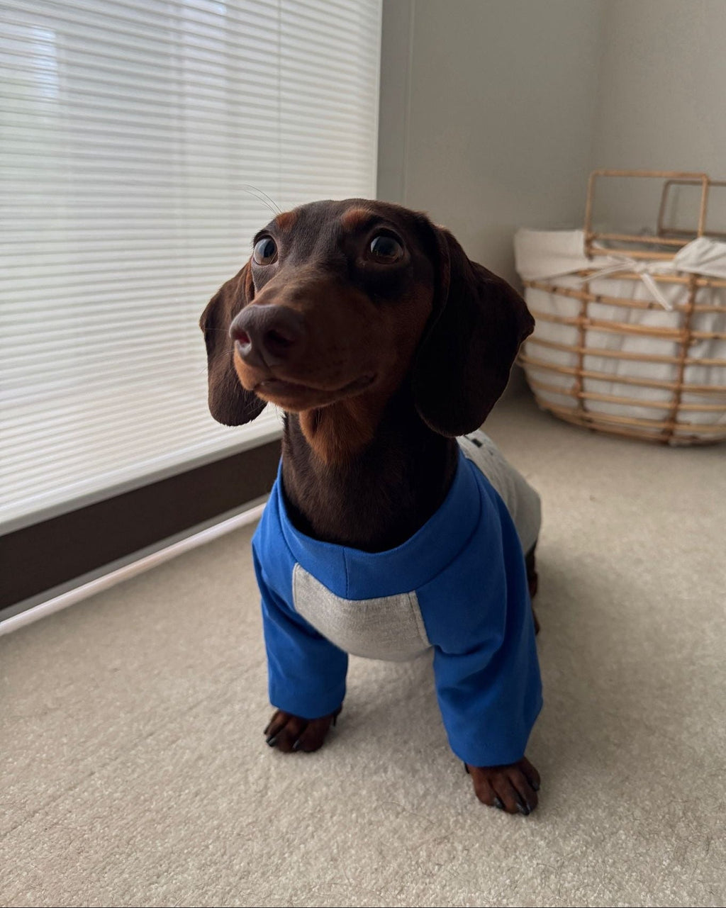 The "I Heart Mom" Retro Raglan Tee - Dapper Weenie Co