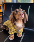 The Ivy League Checkered Zip Shirt - Dapper Weenie Co