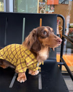 The Ivy League Checkered Zip Shirt - Dapper Weenie Co