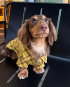 The Ivy League Checkered Zip Shirt - Dapper Weenie Co
