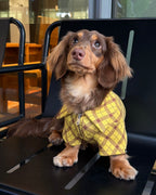 The Ivy League Checkered Zip Shirt - Dapper Weenie Co