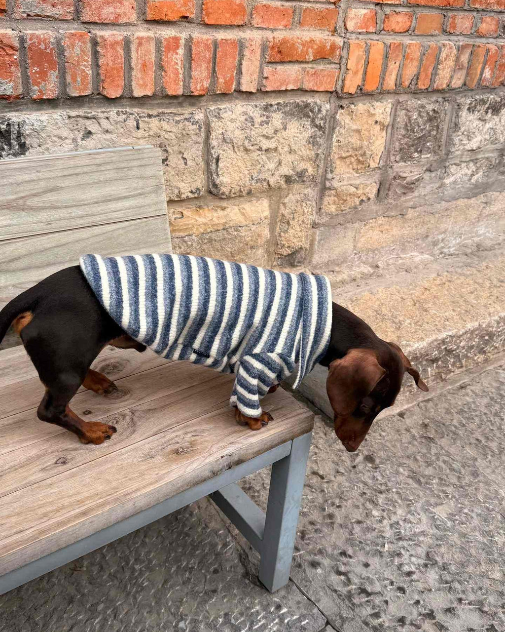 The Loft Stripe Polo | Slate Blue - Dapper Weenie Co