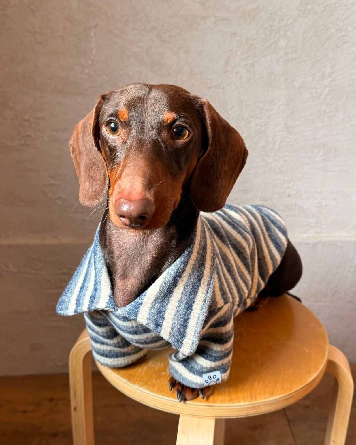 The Loft Stripe Polo | Slate Blue - Dapper Weenie Co