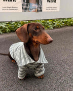 The Loft Stripe Polo | Slate Gray - Dapper Weenie Co