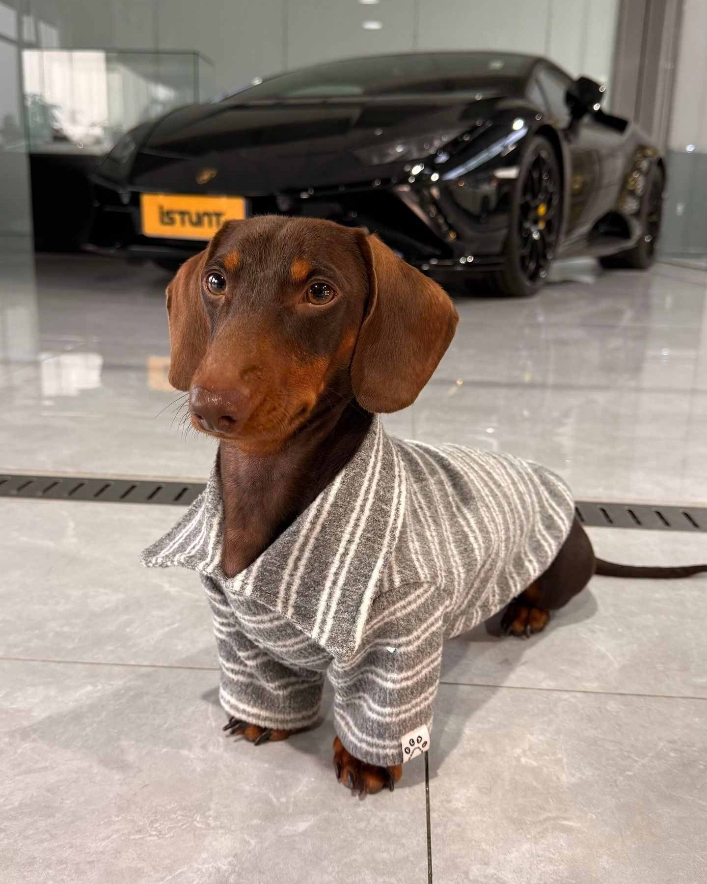 The Loft Stripe Polo | Slate Gray - Dapper Weenie Co