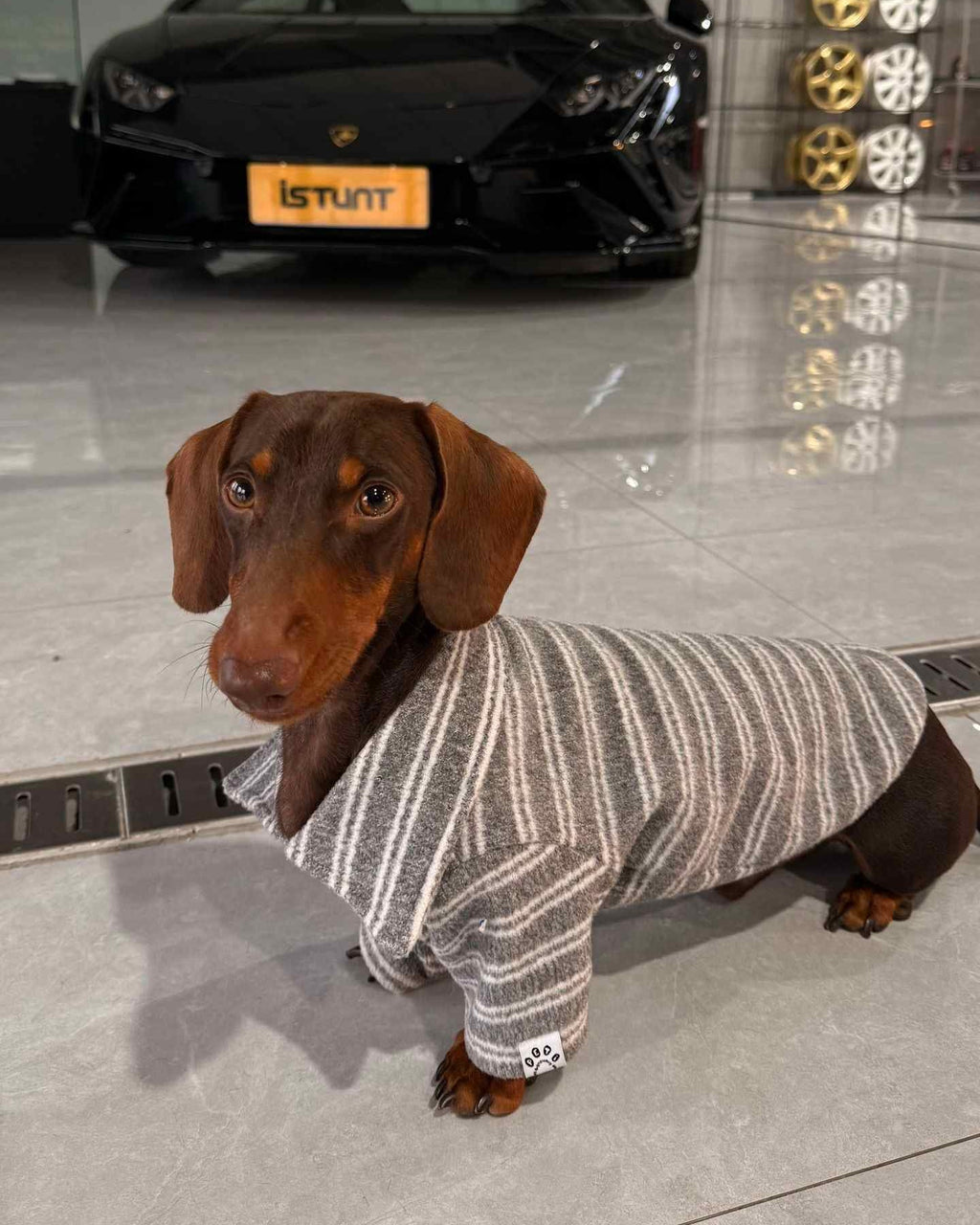 The Loft Stripe Polo | Slate Gray - Dapper Weenie Co