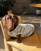 The Pawtitude Striped Knit Vest - Dapper Weenie Co