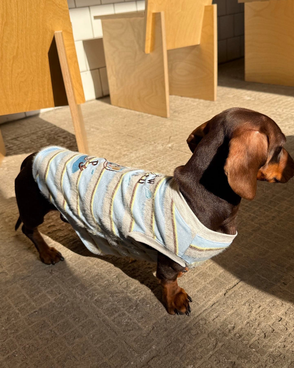 The Pawtitude Striped Knit Vest - Dapper Weenie Co