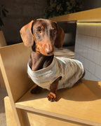 The Pawtitude Striped Knit Vest - Dapper Weenie Co