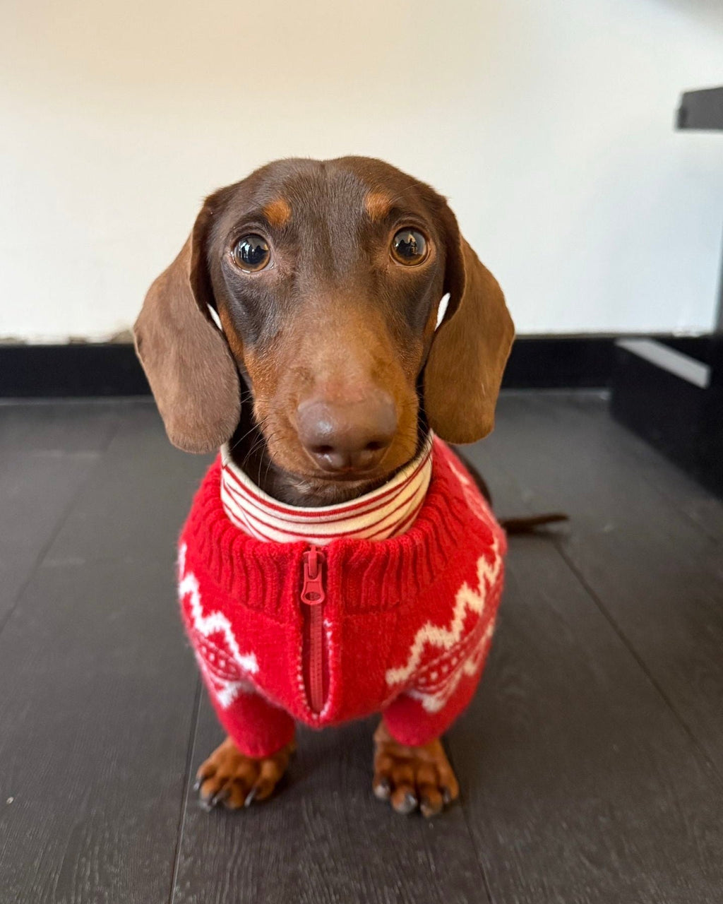 The Retro Nordic Quarter-Zip Sweater - Dapper Weenie Co