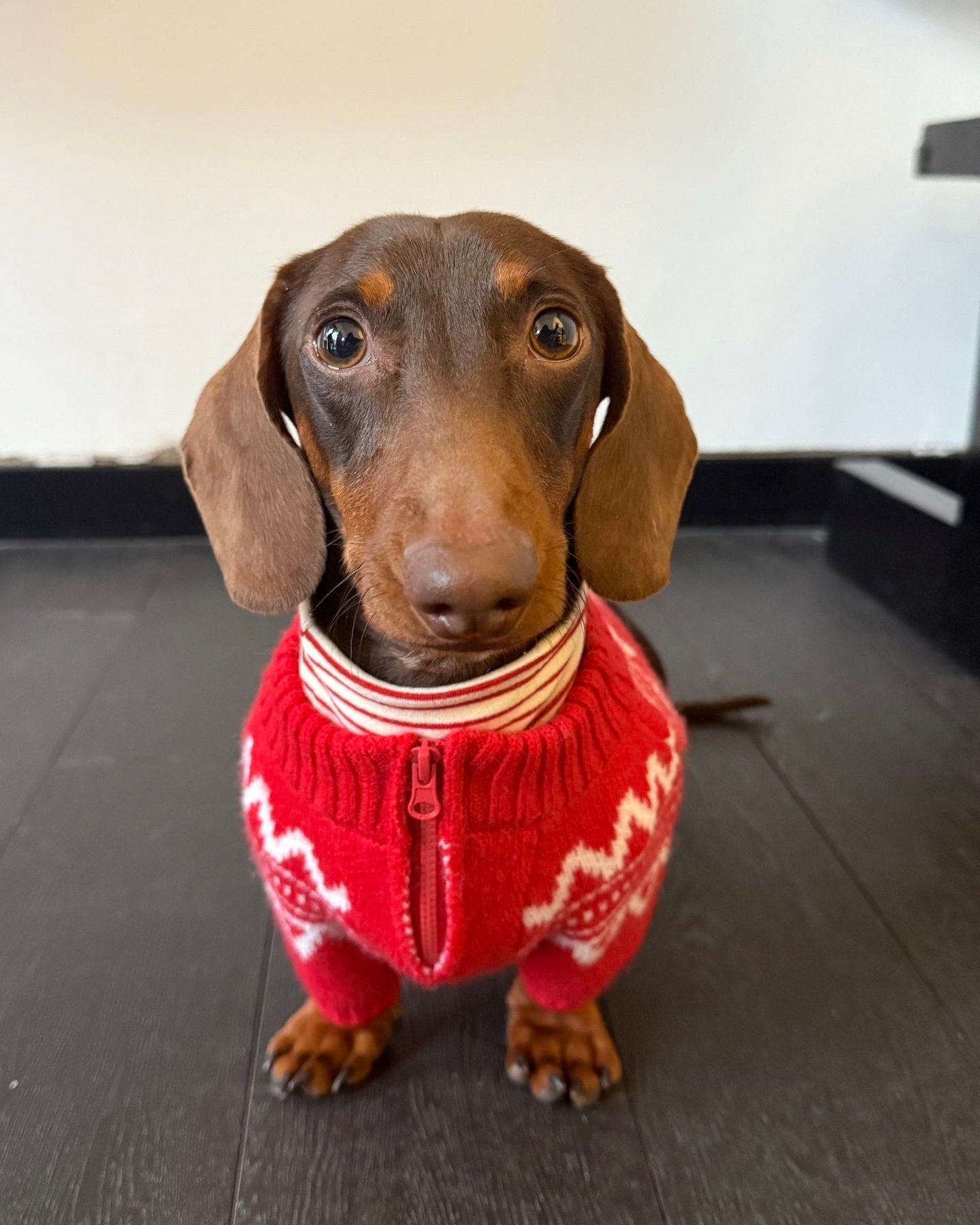 The Retro Nordic Quarter-Zip Sweater - Dapper Weenie Co