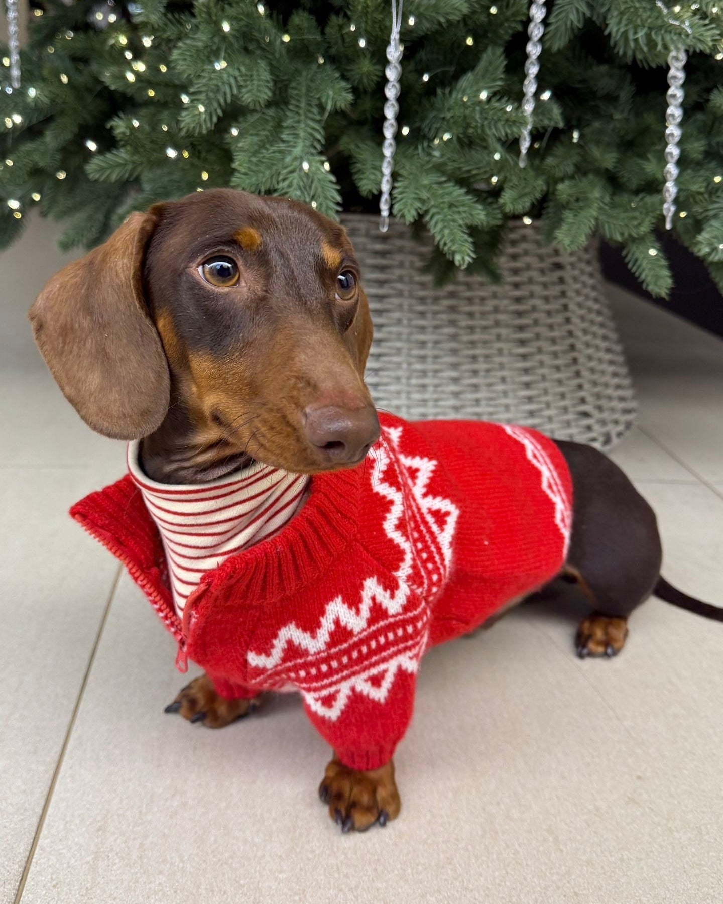 The Retro Nordic Quarter-Zip Sweater - Dapper Weenie Co