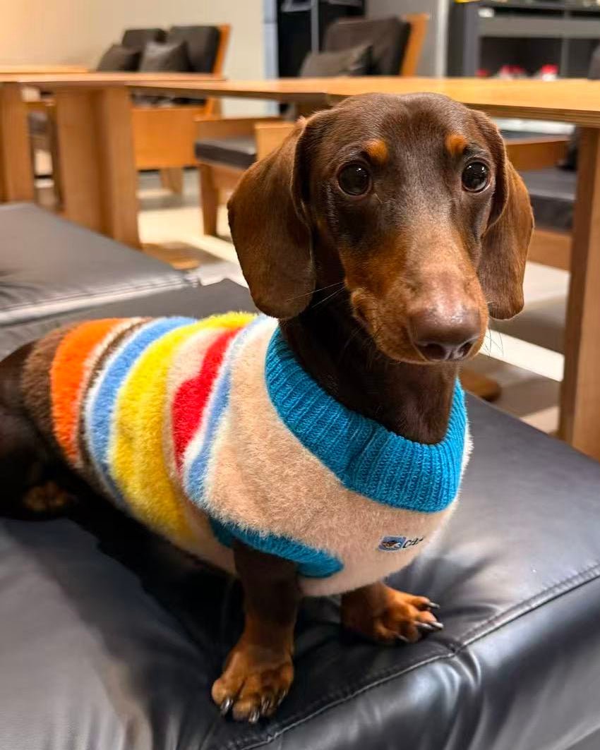 The Retro Stripe Mock - Neck Sweater - Dapper Weenie Co