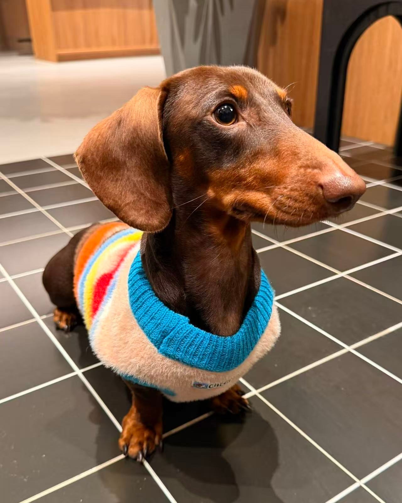 The Retro Stripe Mock - Neck Sweater - Dapper Weenie Co