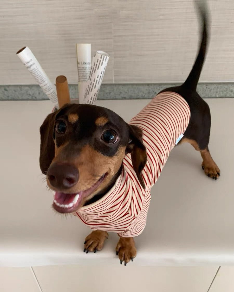 The Retro Striped Mock Neck Tee - Dapper Weenie Co