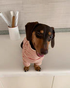 The Retro Striped Mock Neck Tee - Dapper Weenie Co
