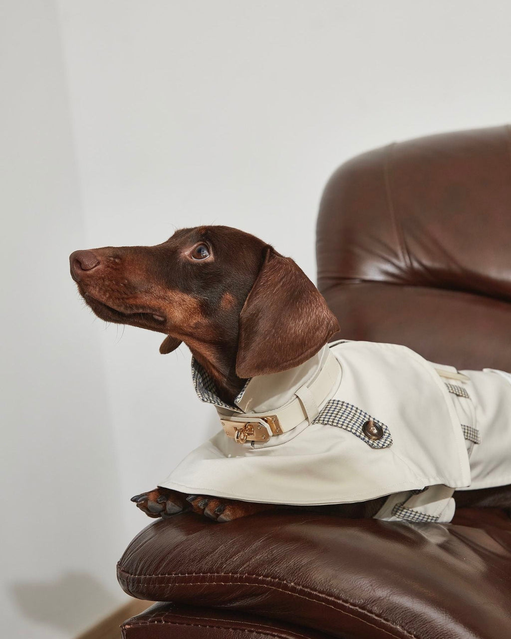 The Reversible Houndstooth Trench Capelet - Dapper Weenie Co