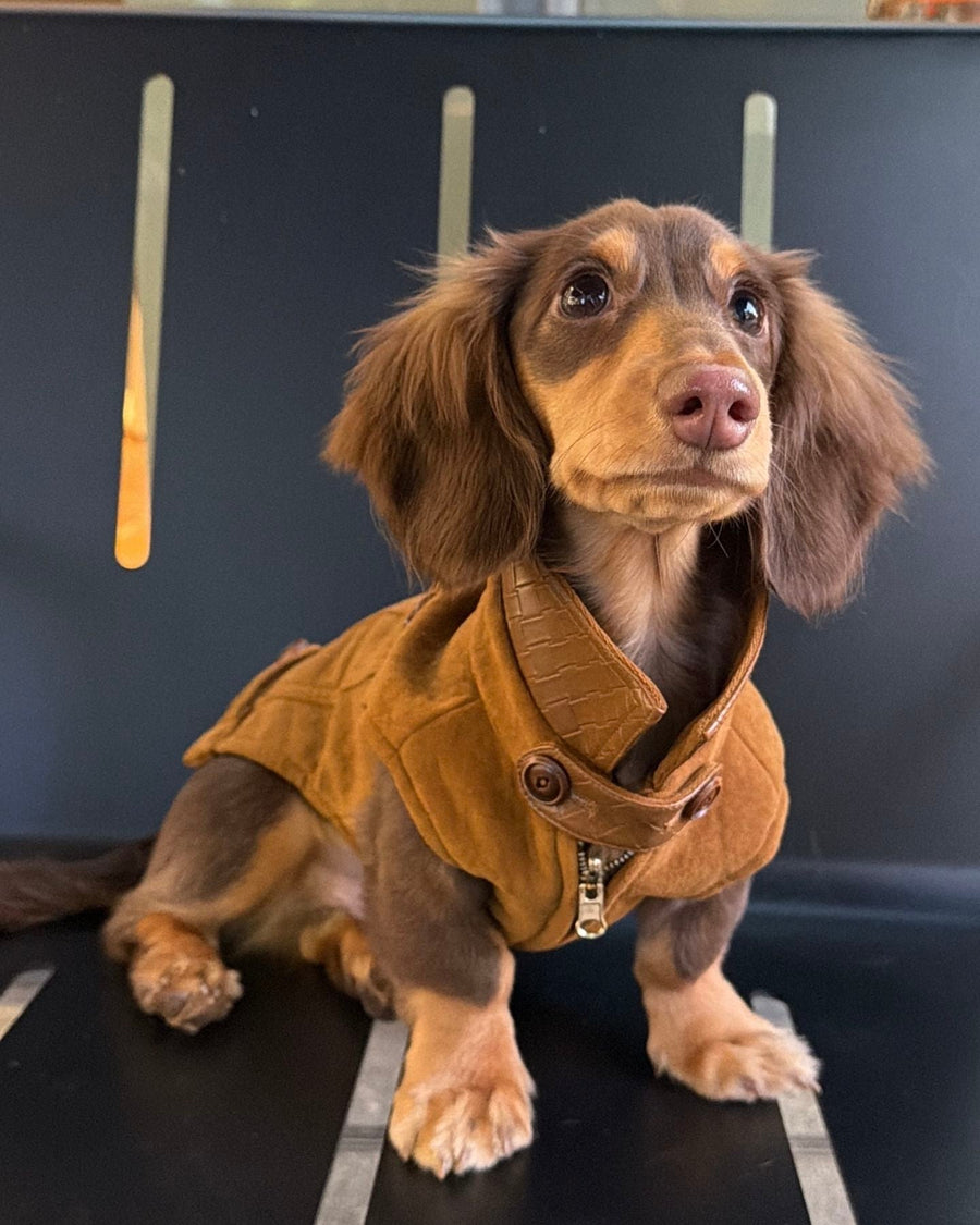 The Reversible Suede & Utility Vest | Tobacco Brown - Dapper Weenie Co