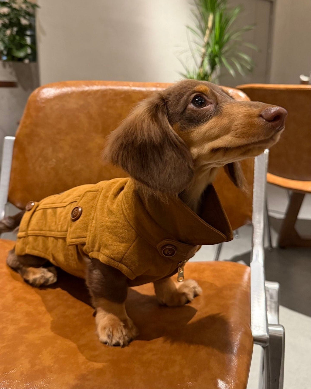 The Reversible Suede & Utility Vest | Tobacco Brown - Dapper Weenie Co