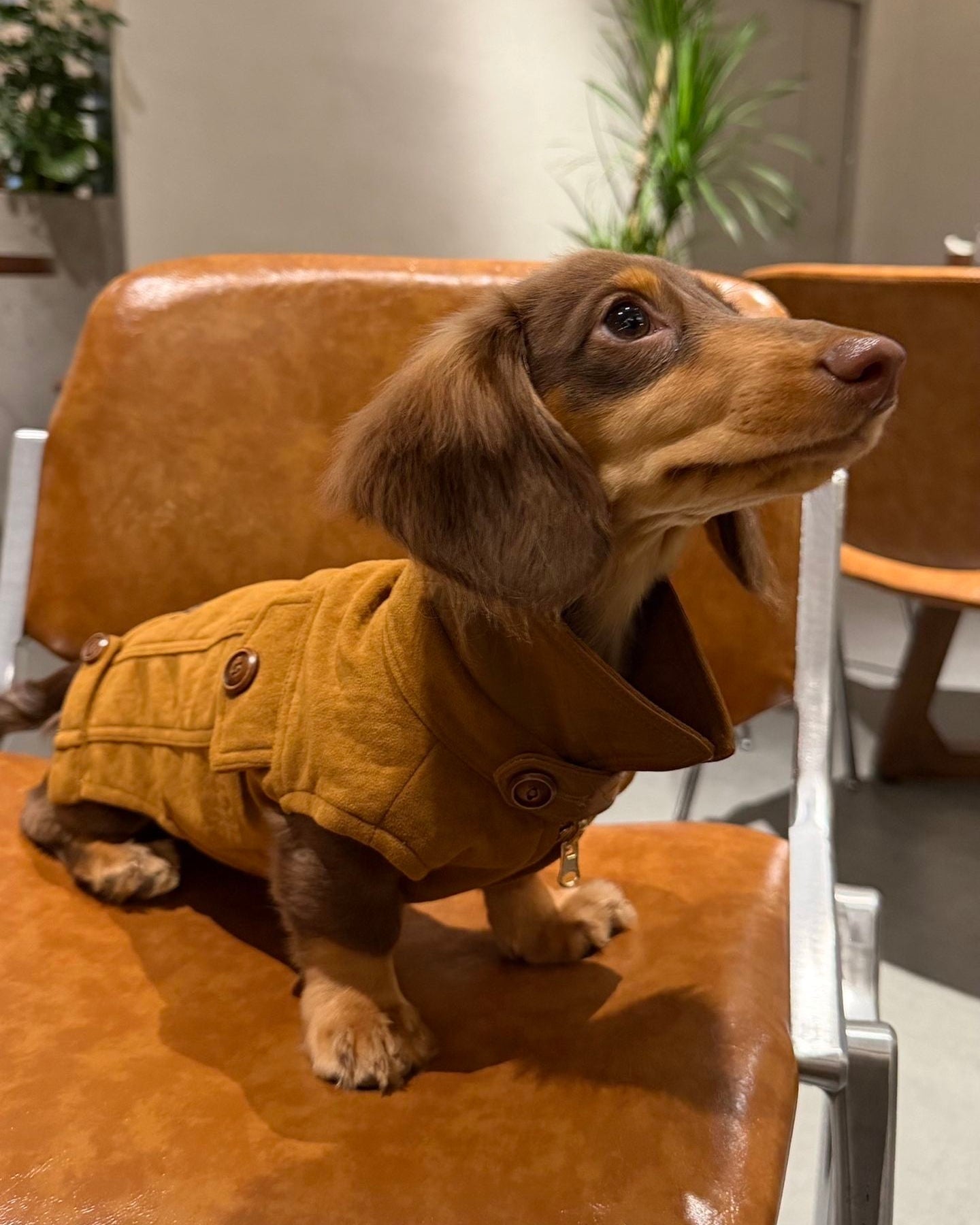 The Reversible Suede & Utility Vest | Tobacco Brown - Dapper Weenie Co