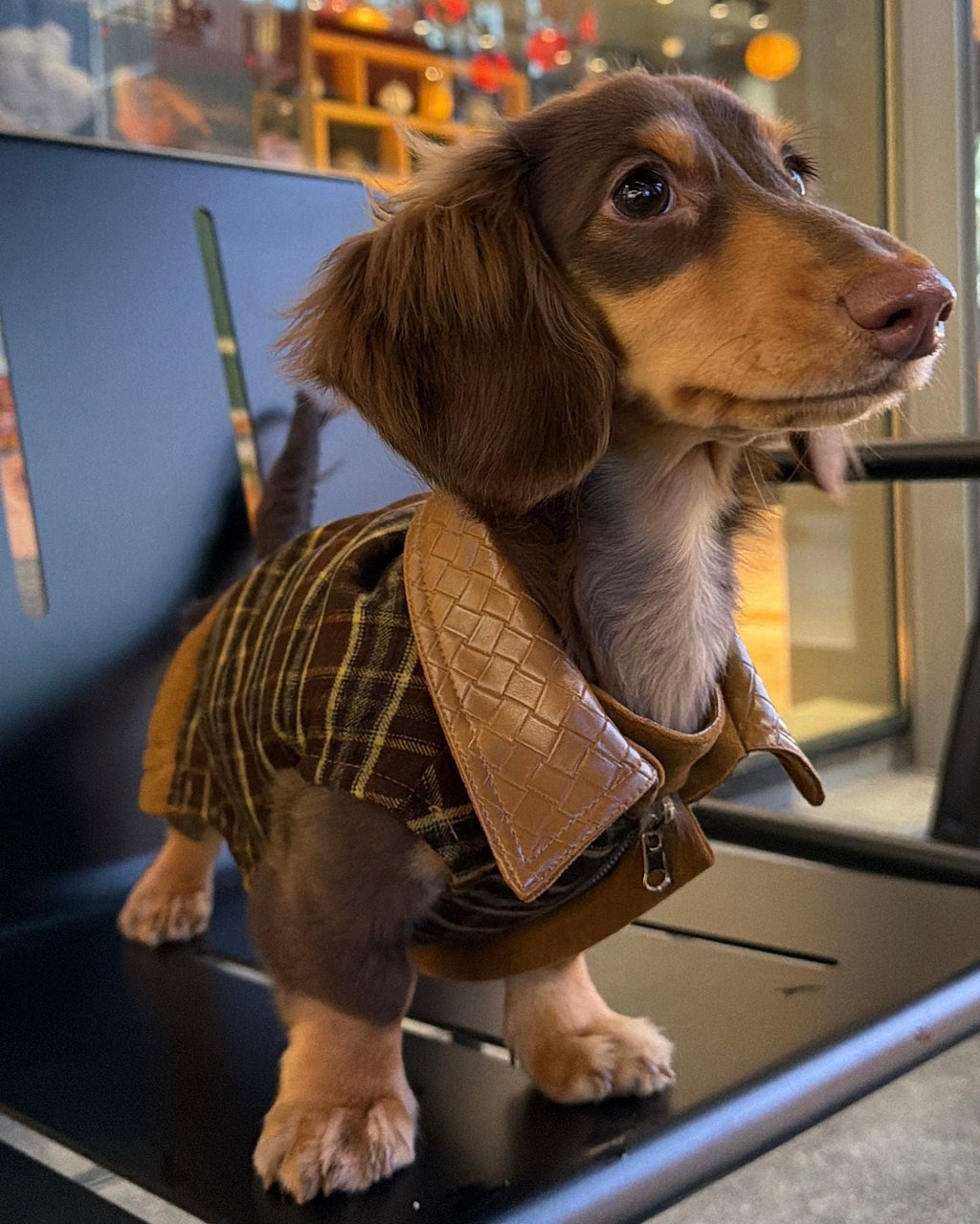 The Reversible Suede & Utility Vest | Tobacco Brown - Dapper Weenie Co