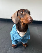 The Textured Plaid Button - Down | Premium Cotton Knit - Dapper Weenie Co