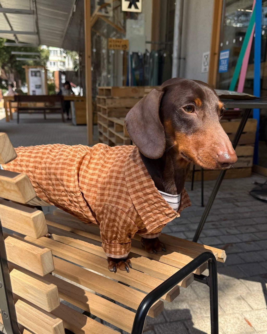 The Textured Plaid Button - Down | Premium Cotton Knit - Dapper Weenie Co