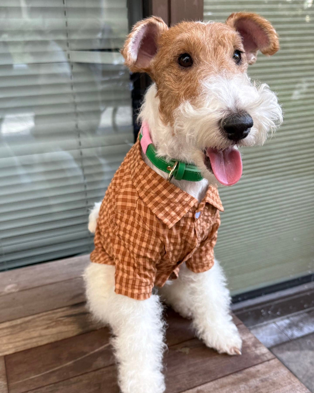 The Textured Plaid Button - Down | Premium Cotton Knit - Dapper Weenie Co