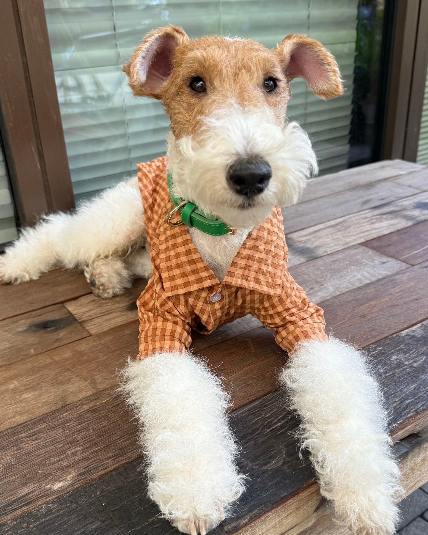 The Textured Plaid Button - Down | Premium Cotton Knit - Dapper Weenie Co