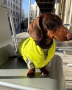 The Urban Explorer Quilted Puffer Vest - Dapper Weenie Co