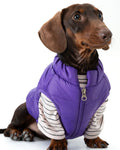 The Urban Explorer Quilted Puffer Vest - Dapper Weenie Co