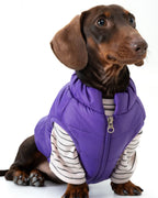 The Urban Explorer Quilted Puffer Vest - Dapper Weenie Co