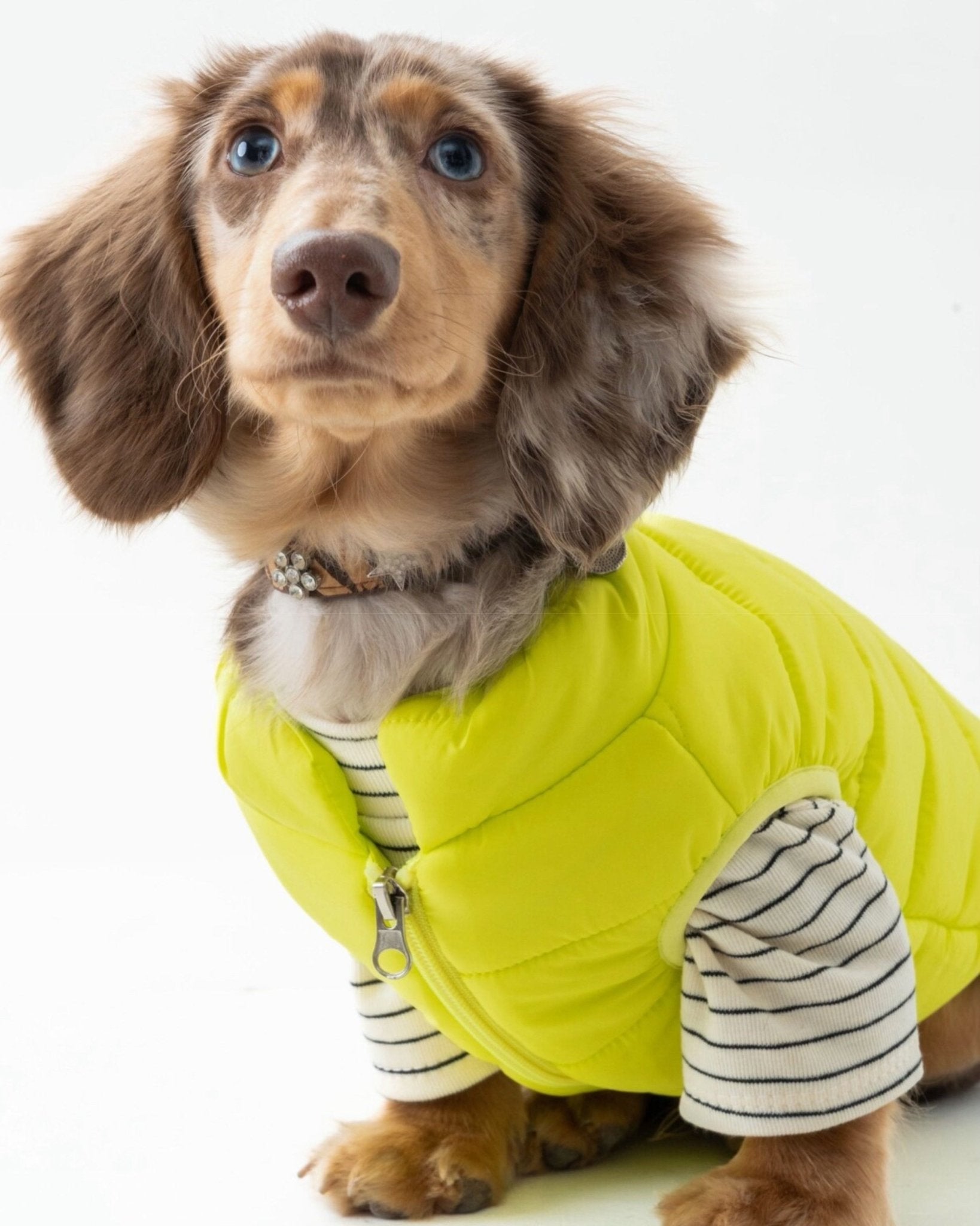 The Urban Explorer Quilted Puffer Vest - Dapper Weenie Co