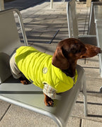 The Urban Explorer Quilted Puffer Vest - Dapper Weenie Co