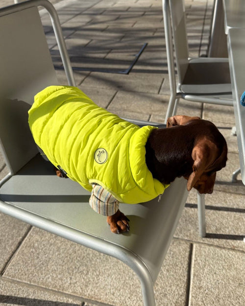 The Urban Explorer Quilted Puffer Vest - Dapper Weenie Co