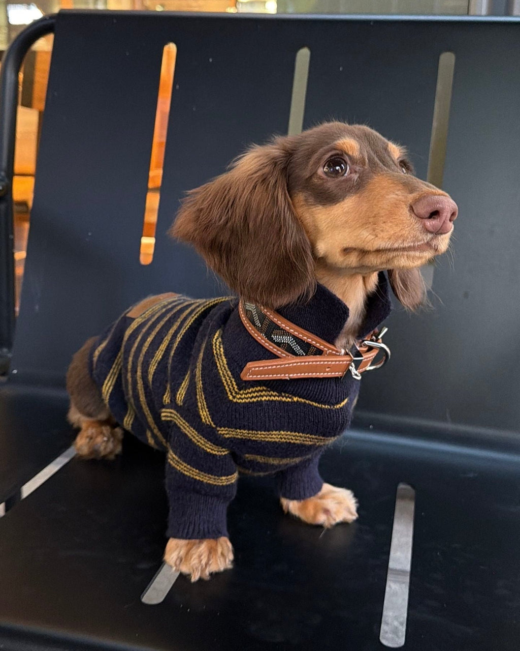 The Varsity Stripe Polo Sweater | Navy - Dapper Weenie Co