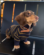 The Varsity Stripe Polo Sweater | Navy - Dapper Weenie Co
