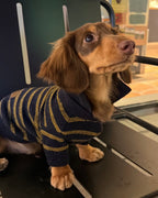 The Varsity Stripe Polo Sweater | Navy - Dapper Weenie Co