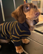 The Varsity Stripe Polo Sweater | Navy - Dapper Weenie Co