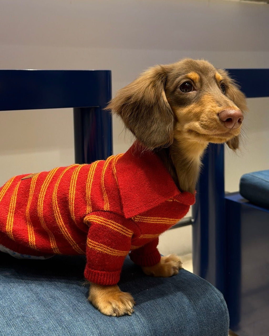 The Varsity Stripe Polo Sweater | Ruby Red - Dapper Weenie Co