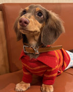 The Varsity Stripe Polo Sweater | Ruby Red - Dapper Weenie Co