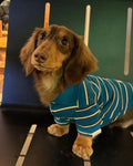 The Varsity Stripe Polo Sweater | Teal Blue - Dapper Weenie Co