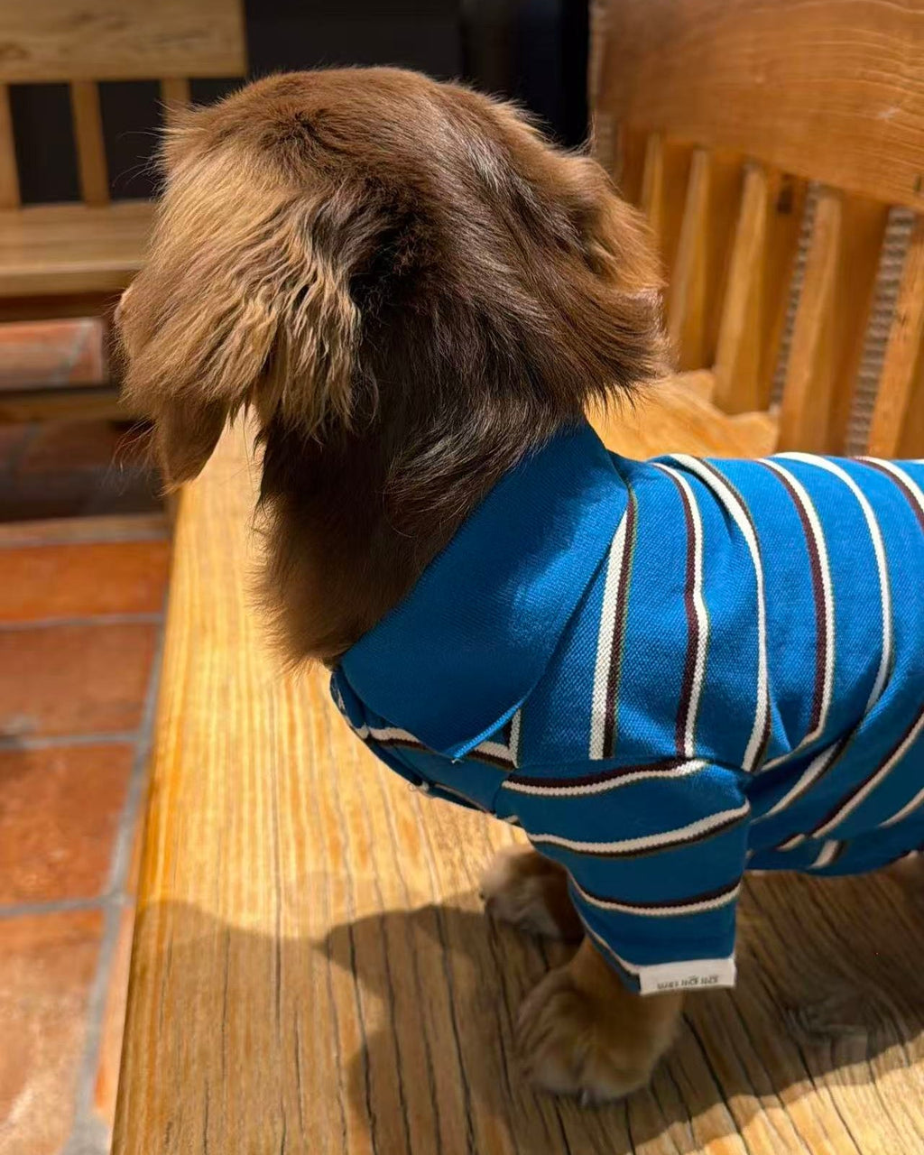 The Varsity Stripe Polo Sweater | Teal Blue - Dapper Weenie Co