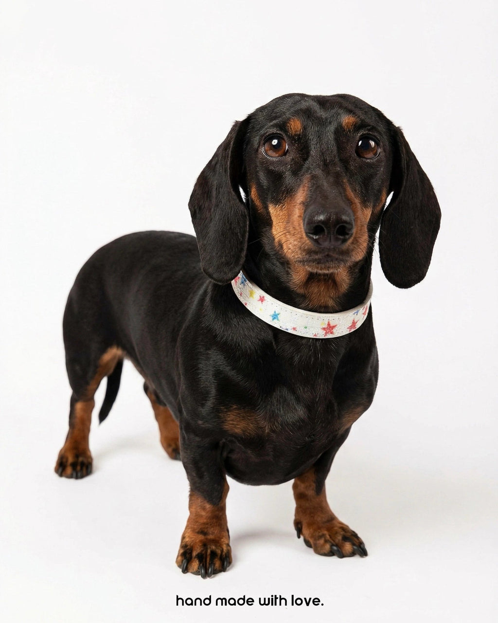 The Wish Upon A Star Glitter Collar - Dapper Weenie Co