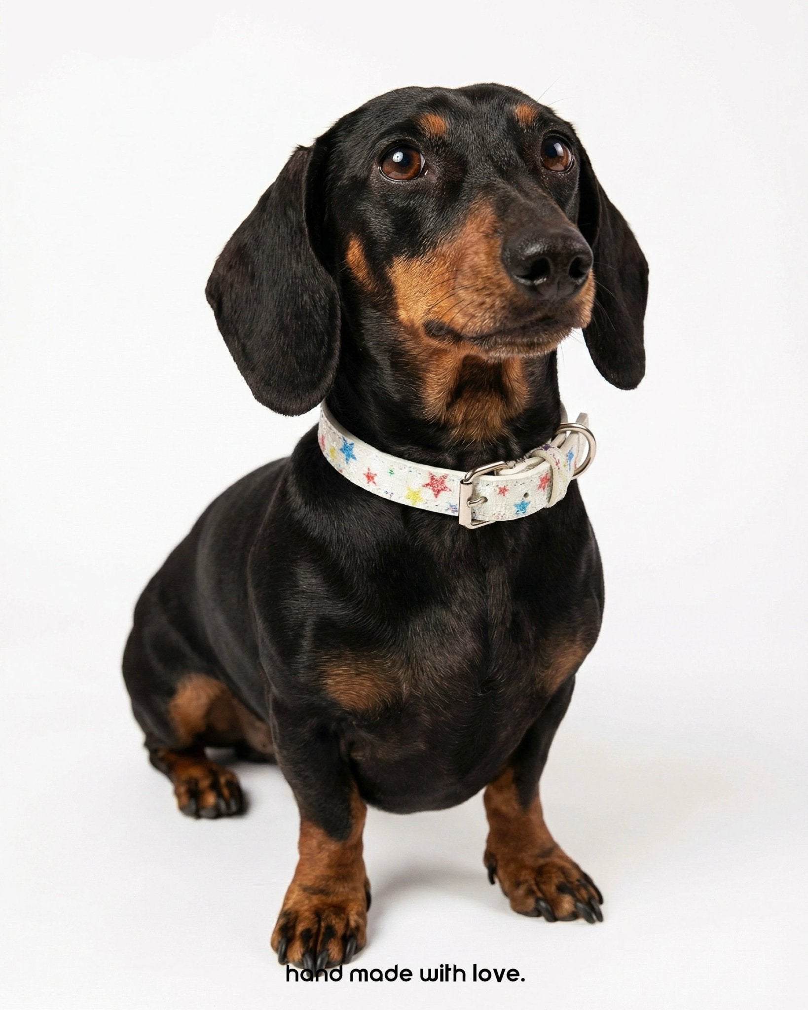The Wish Upon A Star Glitter Collar - Dapper Weenie Co
