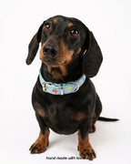 The Wish Upon A Star Glitter Collar - Dapper Weenie Co