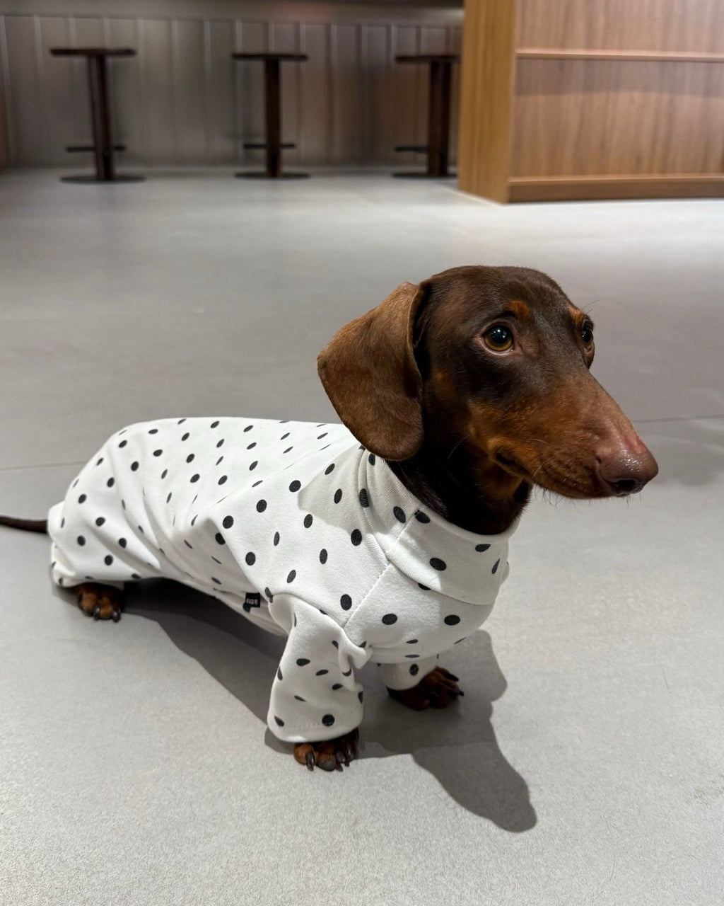 Timeless Polka Dot Knit Jumpsuit - Dapper Weenie Co