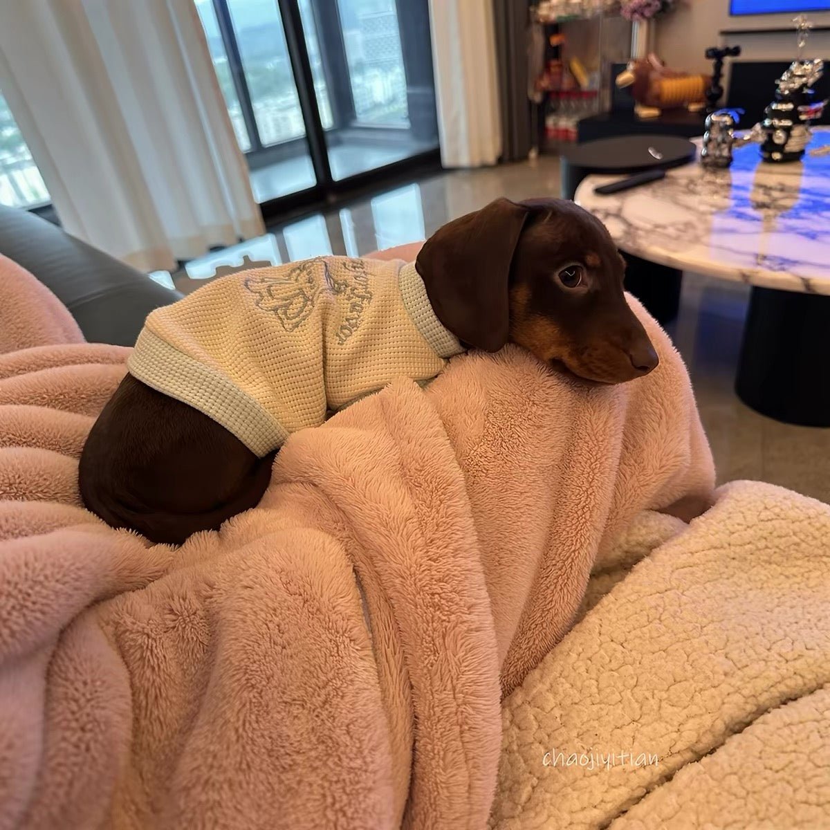Waffle Knit Dog T-Shirt with Short Sleeves - Dapper Weenie Co