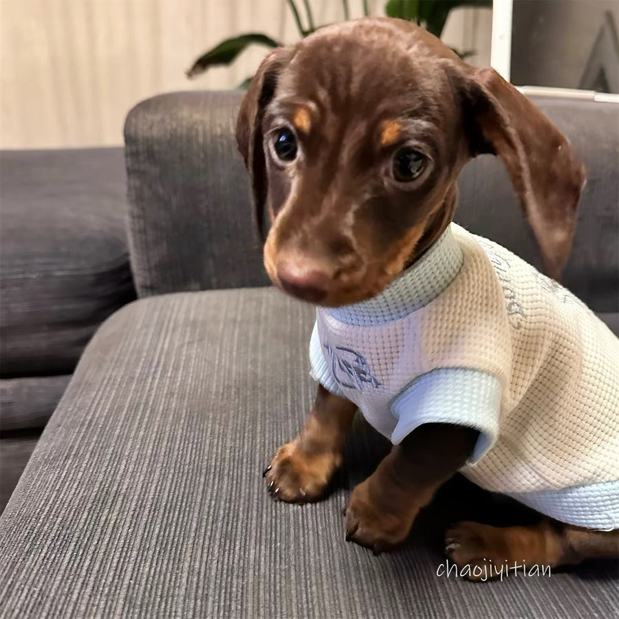 Waffle Knit Dog T-Shirt with Short Sleeves - Dapper Weenie Co