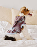 Wizard Hood Striped Pet Loungewear Vest - Dapper Weenie Co